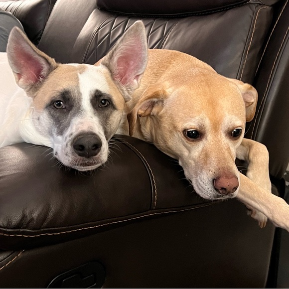 Meet your Posher, Ryan - Picture 4 of 5